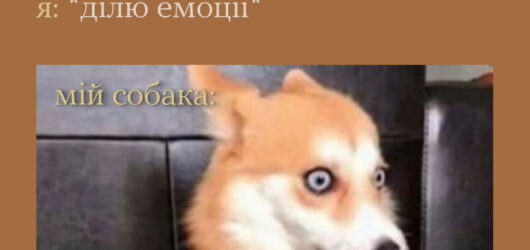 Пет-терапія