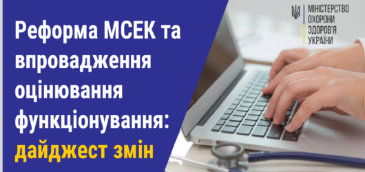 Реформа МСЕК та впровадження оцінювання функціонування