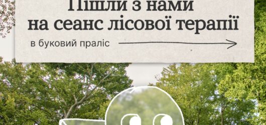 Як природа допомагає впоратися зі стресом
