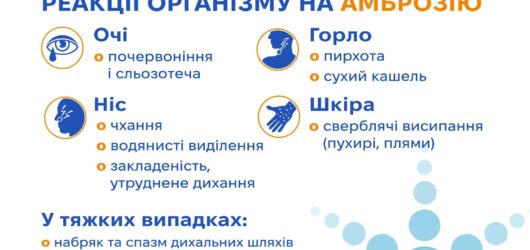 Алергія на амброзію: як розпізнати симптоми та що робити