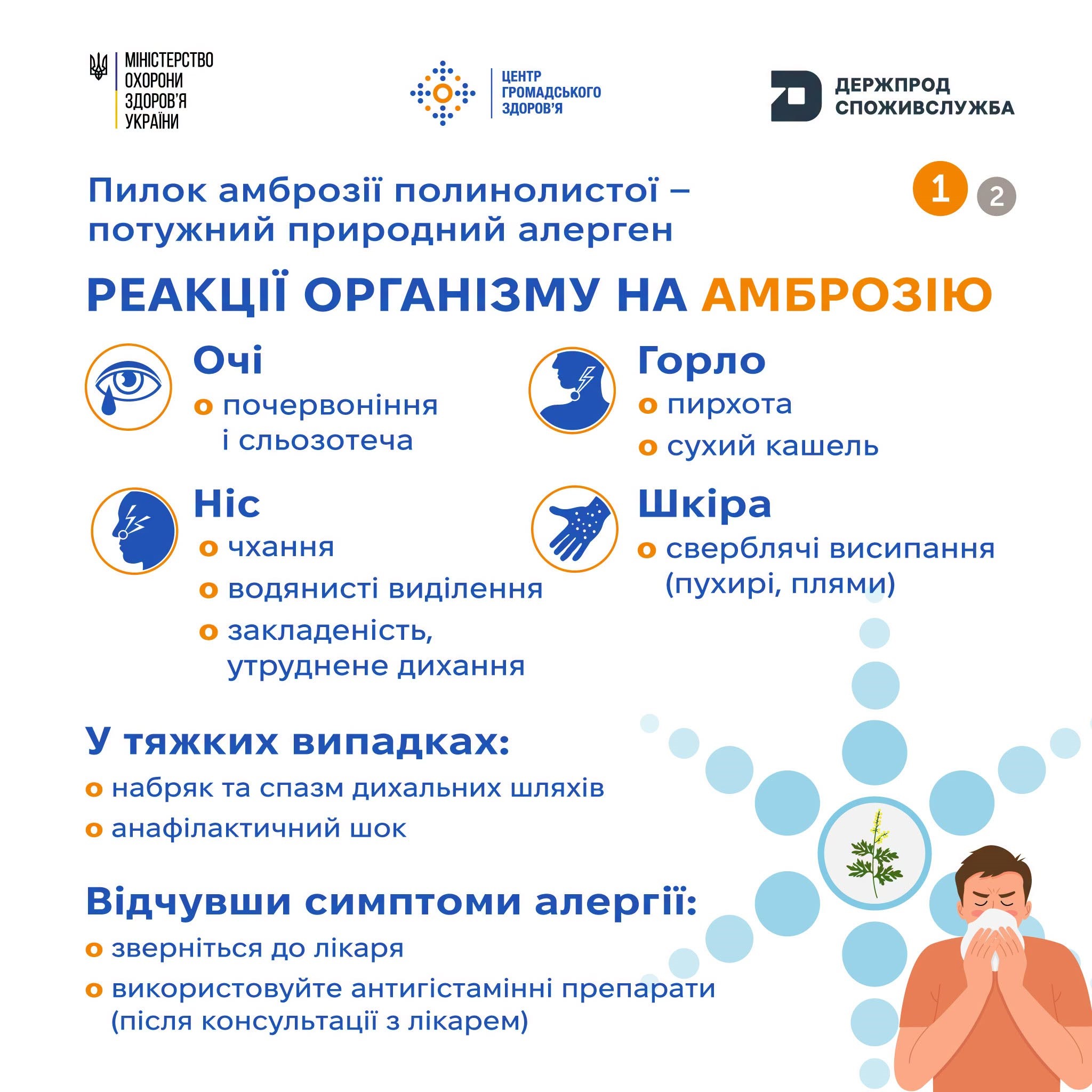 Read more about the article Алергія на амброзію: як розпізнати симптоми та що робити